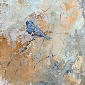 Black-throated Blue Warbler