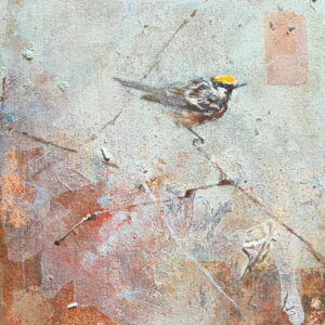 Chestnut sided Warbler