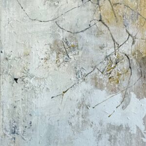 Reflections of Similarity (Black and White Warbler)