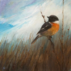 Perched Between Worlds